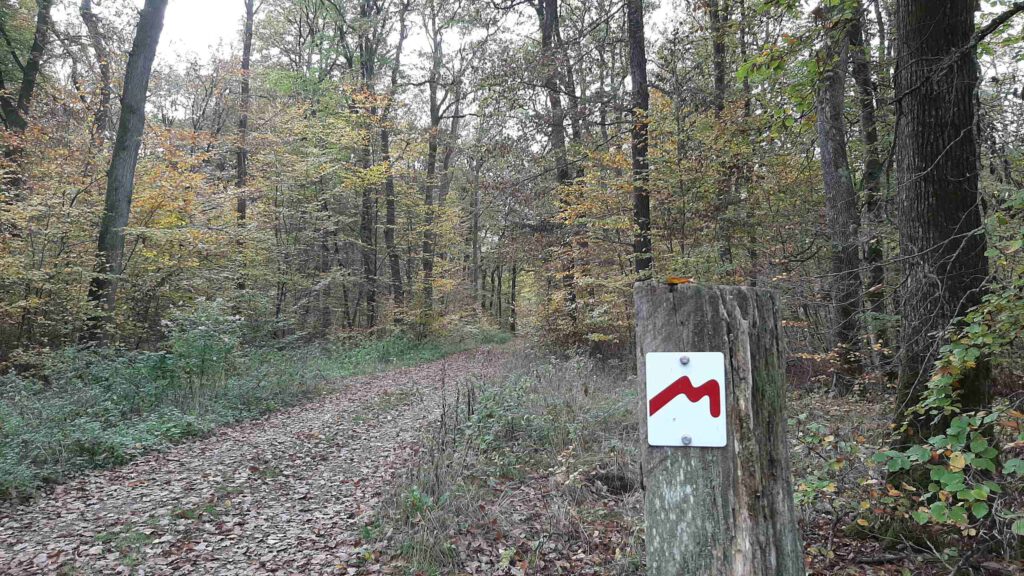 Bewegwijzering op de Mullerthal Trail